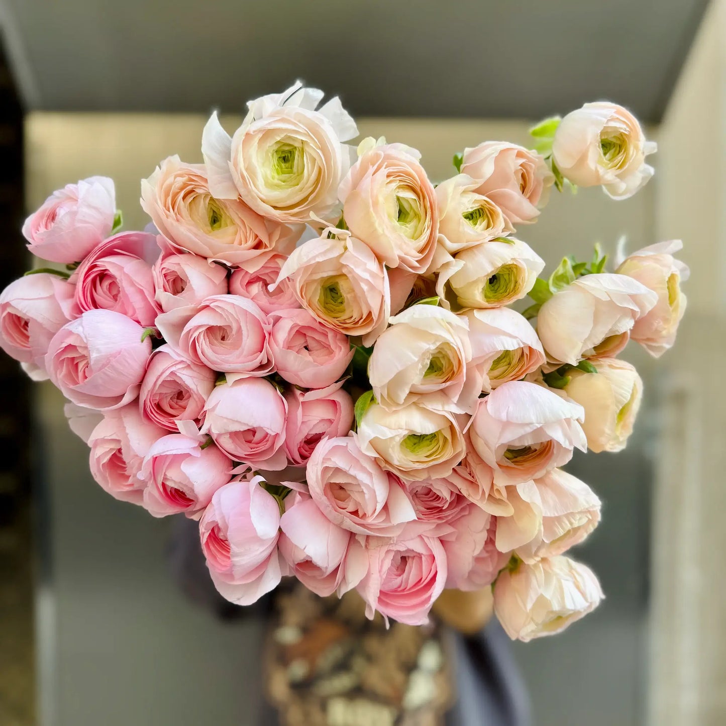 Clooney Ranunculus Bouquet in pink and peach – Exclusive in Barcelona