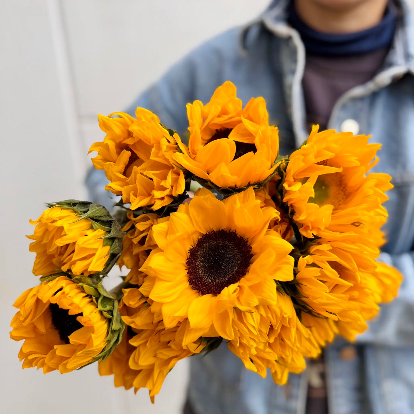 Bouquet of yellow sunflowers held by a person wearing a denim jacket.