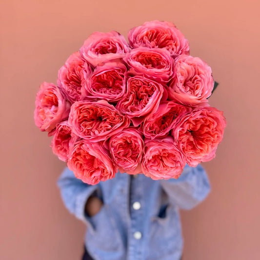 Bouquet of pink garden roses held by a person wearing a blue denim jacket against a peach background in Barcelona