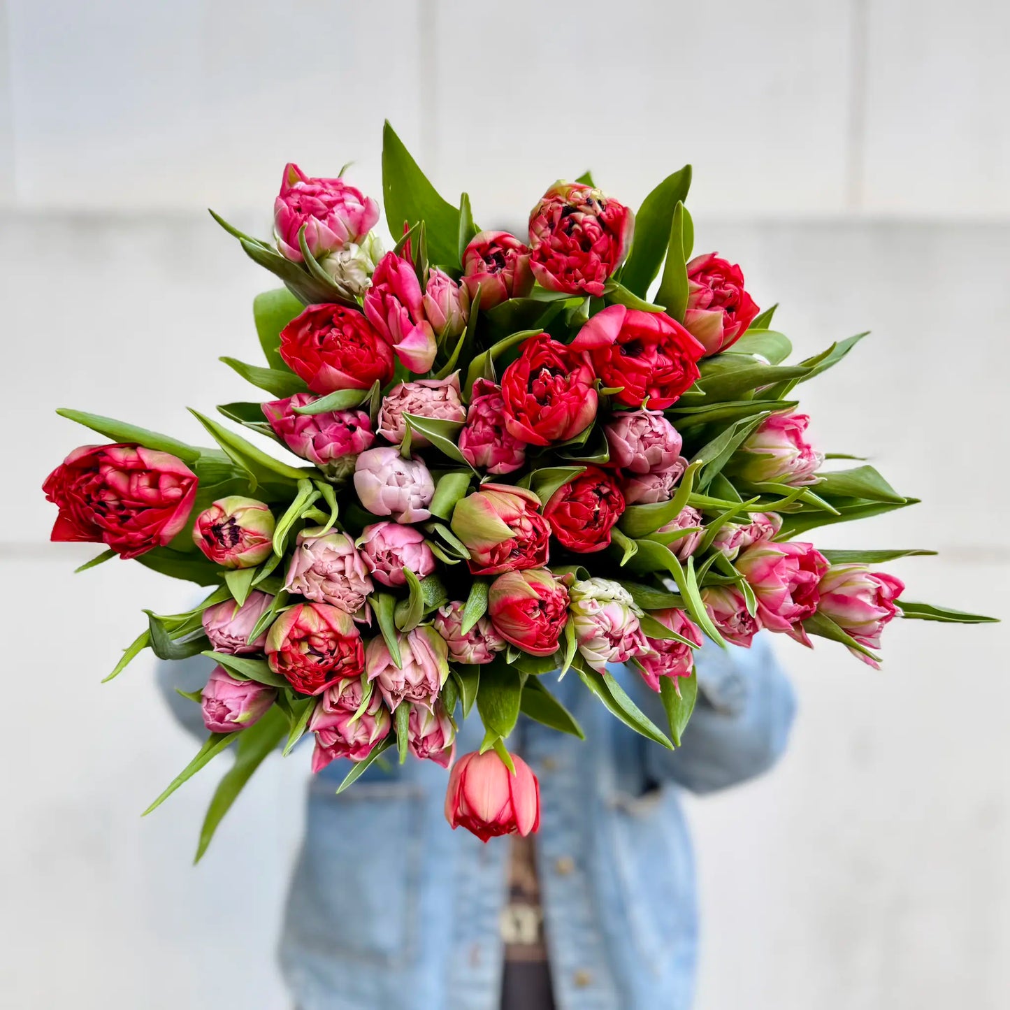 Bouquet of red and pink tulips held by a person wearing a denim jacket.
