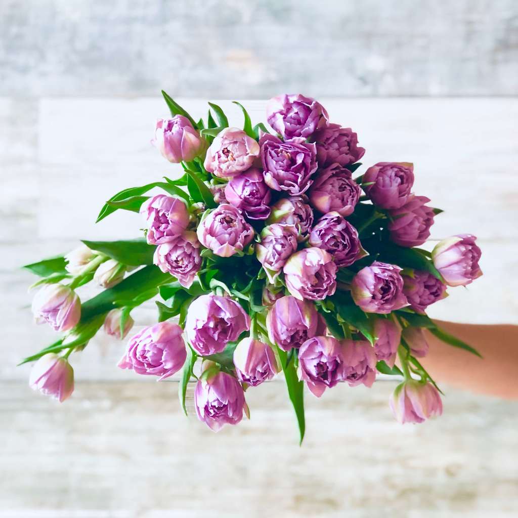 Send Tulips