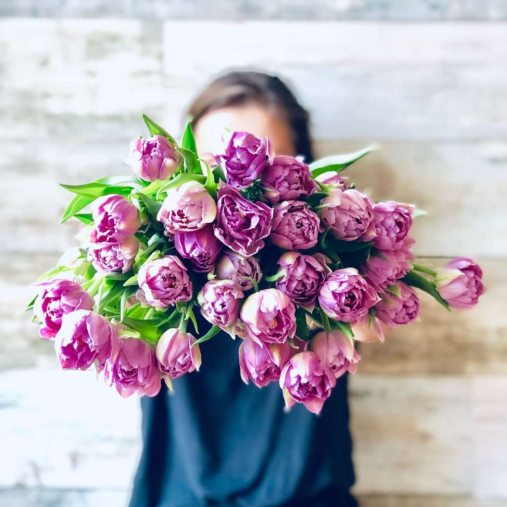 Tulips