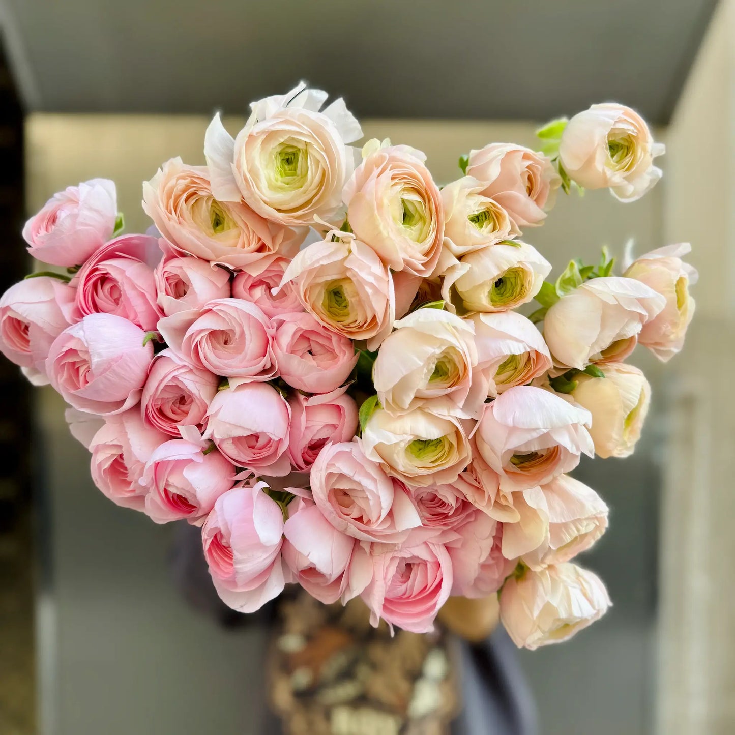 Clooney Ranunculus Bouquet  in pink and peach – Exclusive in Barcelona