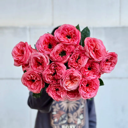 Bouquet of pink roses flowers held by a person wearing a patterned shirt against a white wall.