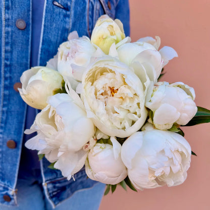 Peonies delivery by Florster Barcelona