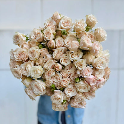 Bouquet of light pink spray roses against a white background