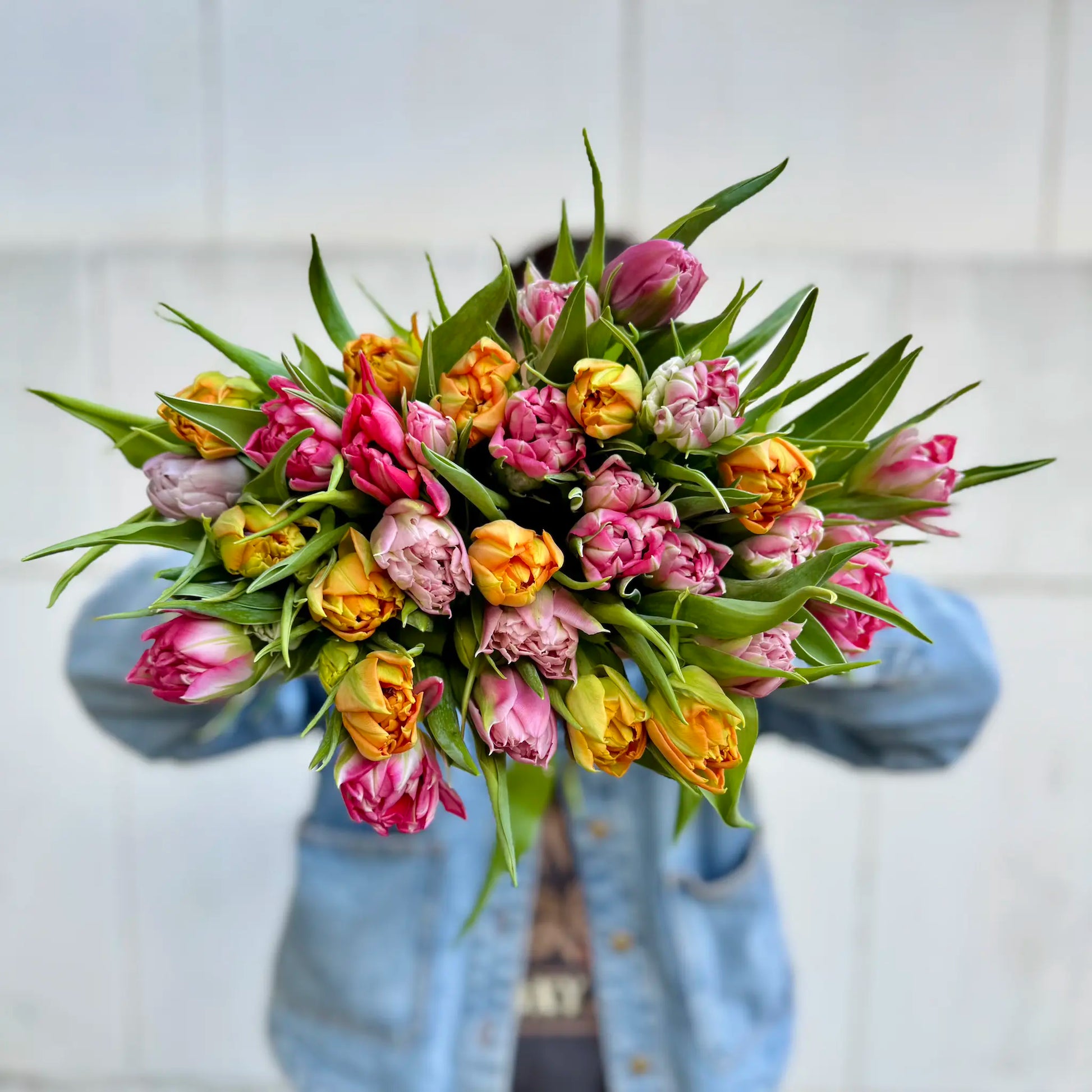 Bouquet of colorful tulips held by a person wearing a blue jacket against a light background